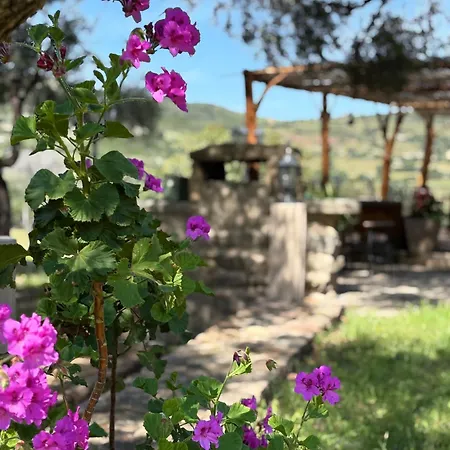 Bergerie De Charme Pedi Lione