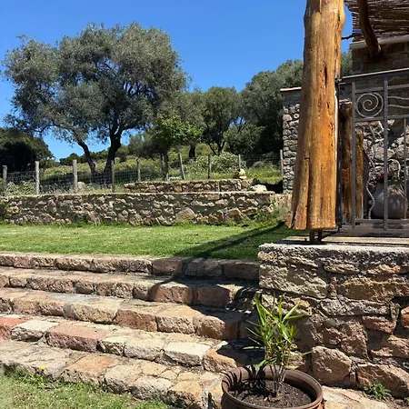 Bergerie De Charme Pedi Lione Villa *