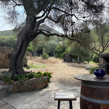 Bergerie De Charme Pedi Lione * Calvi (Corsica)