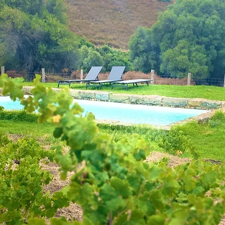 Bergerie De Charme Pedi Lione Villa