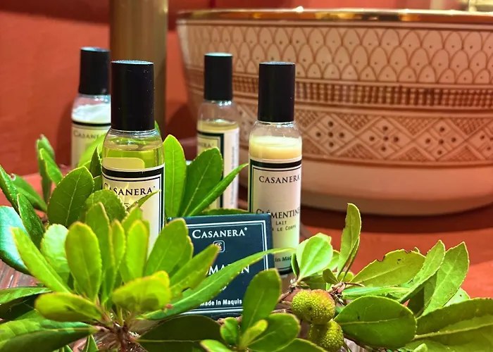 ヴィラ Bergerie De Charme Pedi Lione カルヴィ