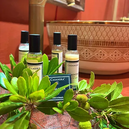 Вилла Bergerie De Charme Pedi Lione Кальви