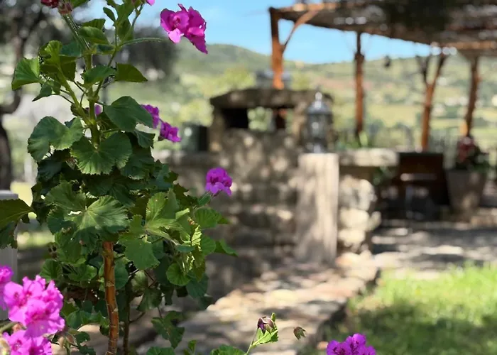 Bergerie De Charme Pedi Lione