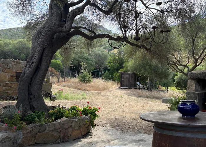 Bergerie De Charme Pedi Lione * Calvi (Corsica)