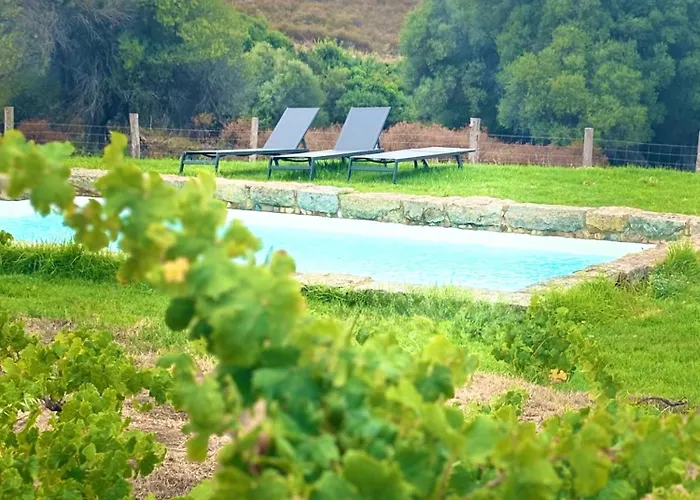 Bergerie De Charme Pedi Lione Villa